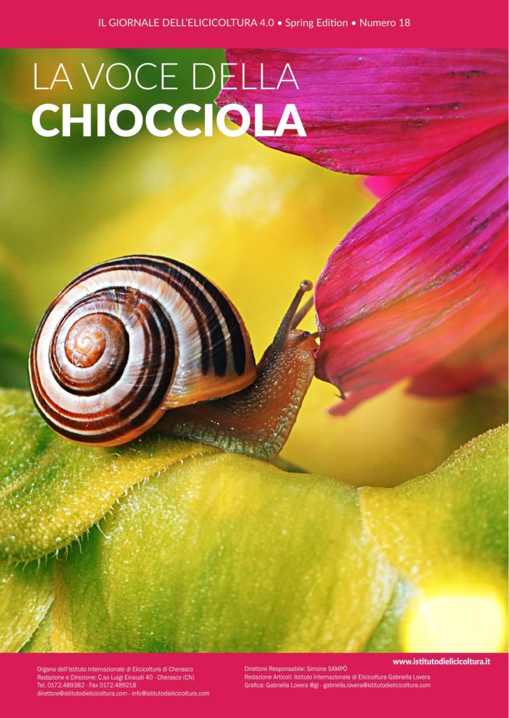Copertina di Numero 18 · maggio 2024