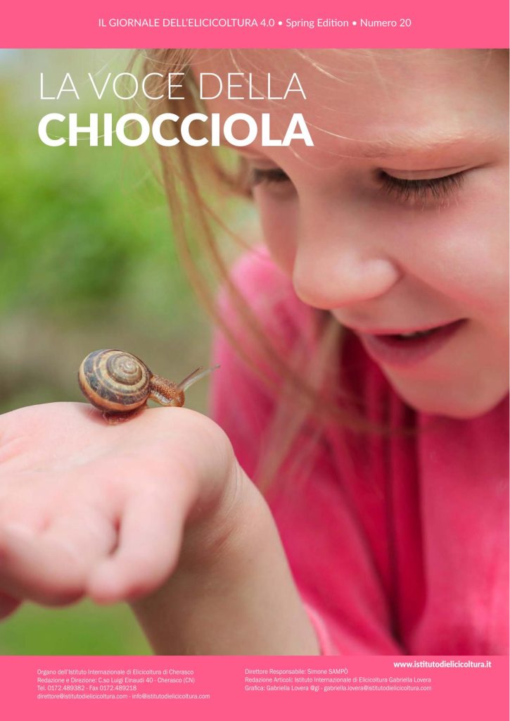 Copertina di Numero 20 · maggio 2025