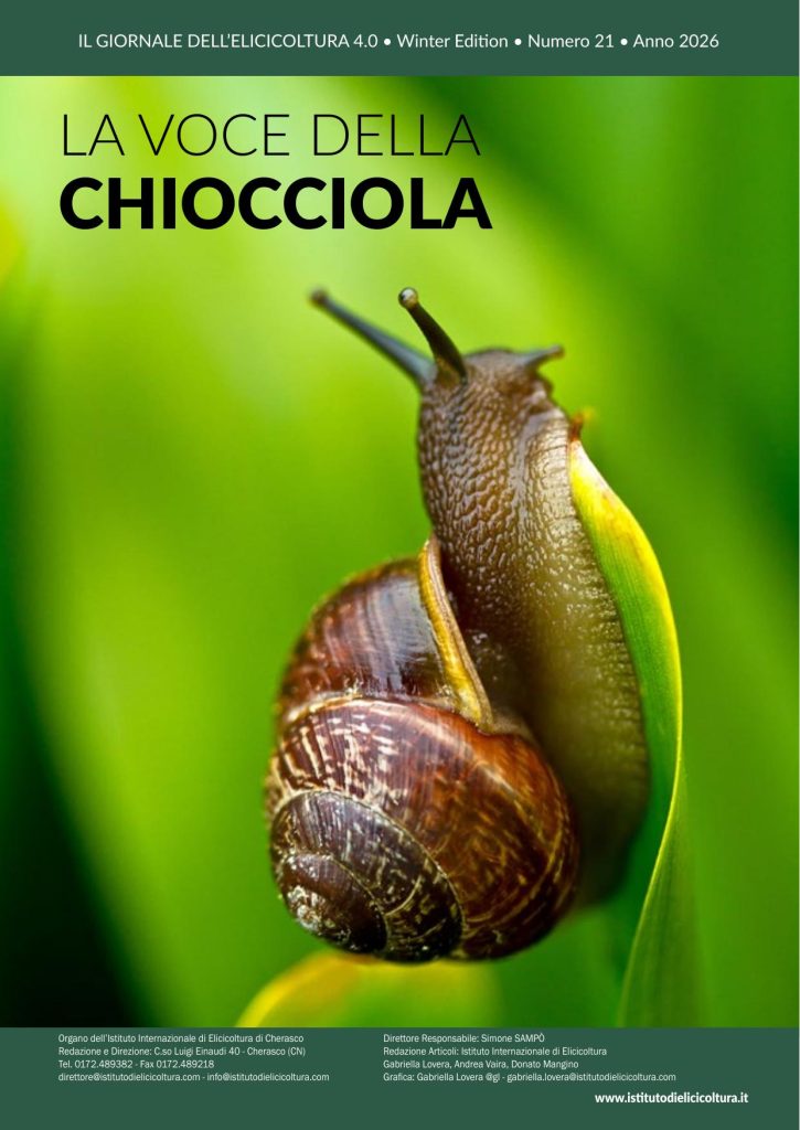 Copertina di Numero 21 · gennaio 2026
