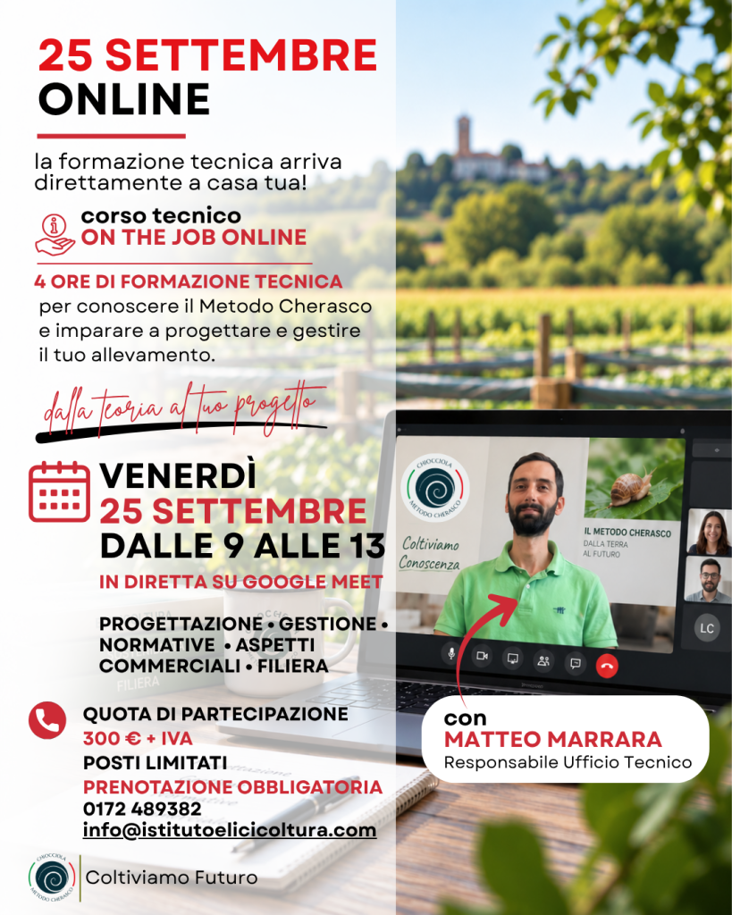 Locandina del Corso tecnico On the Job online del 25 settembre 2026, dalle 9 alle 13 su Google Meet, con Matteo Marrara dell’Ufficio Tecnico.