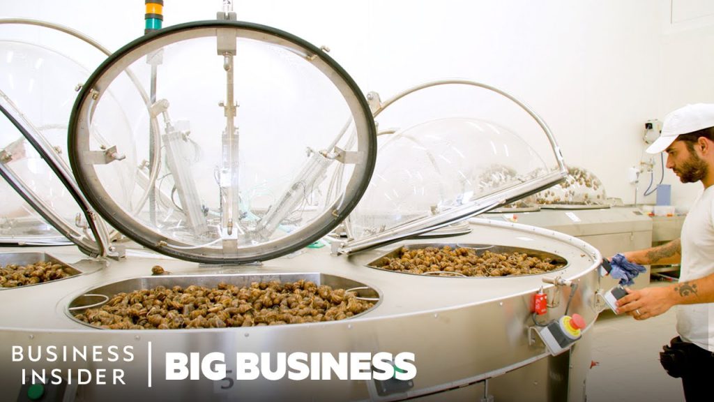 Fotogramma del servizio di Business Insider sulla bava di lumaca.